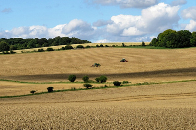 Самарская область вошла в топ-5 по страхованию посевов