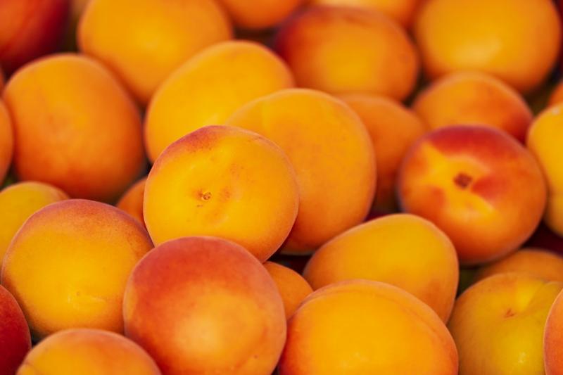 На складе в Тольятти нашли 7 тонн абрикосов, зараженных опасным вредителем