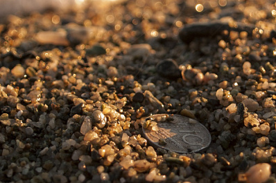 Поела и заработала: в Сызрани девушка копала картошку и нашла монету XVIII века