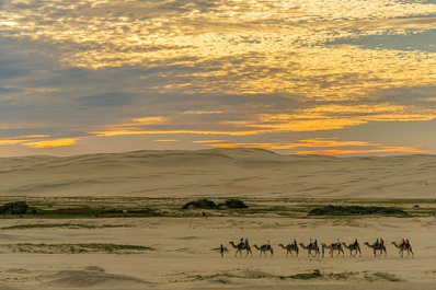 24 сентября отмечают Международный день караванщика