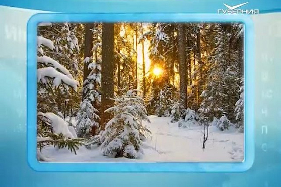 Календарь губернии 20.01.2017