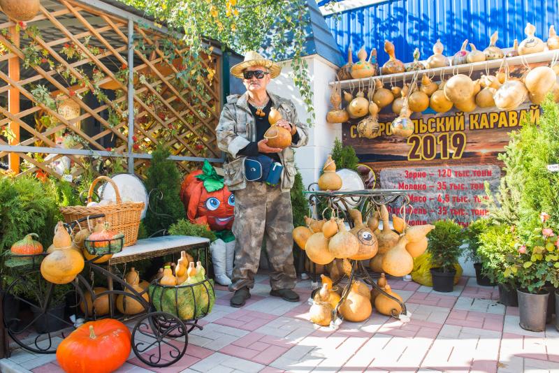 Сельскохозяйственная выставка в Усть-Кинельском пройдет с соблюдением санитарных норм