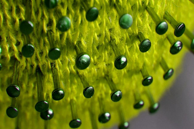 В России 6004 пациента за последние сутки вылечились от COVID-19 