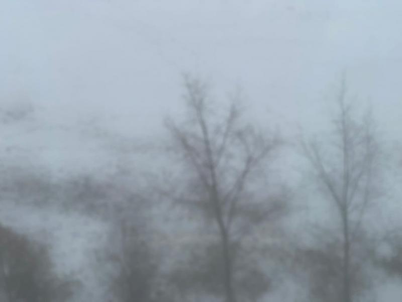 В Самарской области 4 января будет снежно и туманно