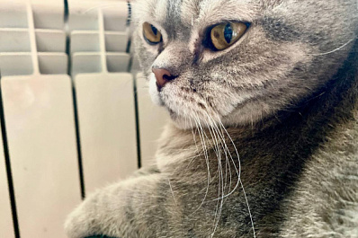 В Роспотребнадзоре напомнили самарцам о правах потребителей в отопительный сезон