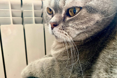 Название статьи