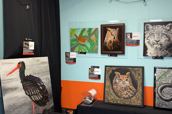 День автора. Такое утро