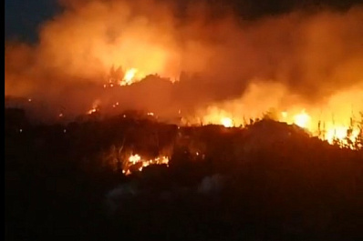 Вовремя заметили огонь: 19 июня под Самарой горело поле у Петра Дубравы