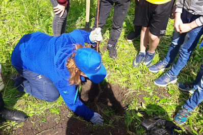 В Самаре будет больше деревьев