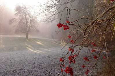 Синоптики рассказали, когда в Самарской области ожидать похолодание