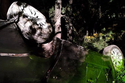 Название статьи