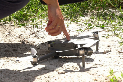 Название статьи