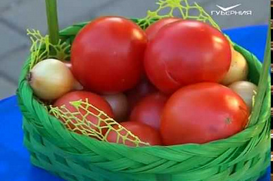 Один из лучших гастрономических фестивалей России прошел в Самарской области