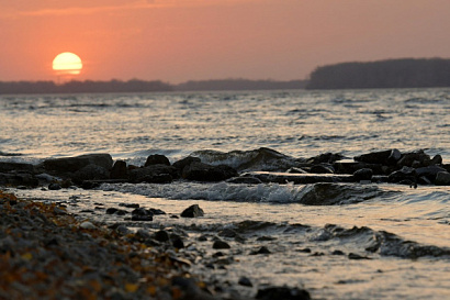 Название статьи