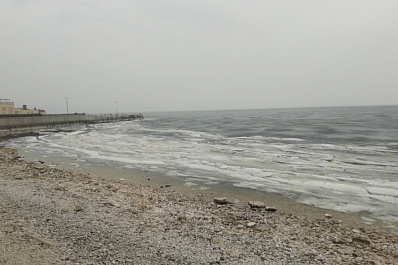 Тольяттинский проект по мониторингу водоемов с помощью аквадронов реализуют в Санкт-Петербурге