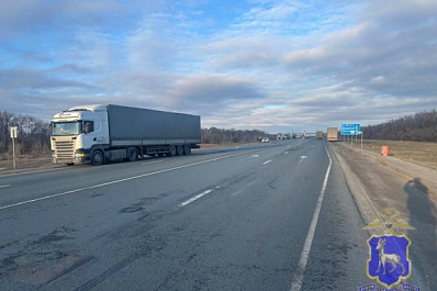 В Самарской области на трассе М5 фура сбила мужчину