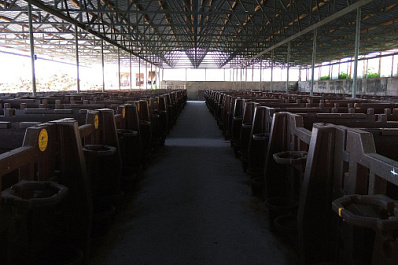 Напало животное: жительнице Самарской области выплатят компенсацию за травмы на работе