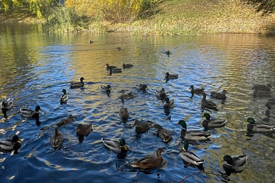 В селах Хворостянского района благоустроят скверы и парки 