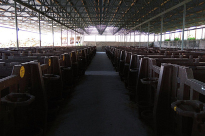 Название статьи