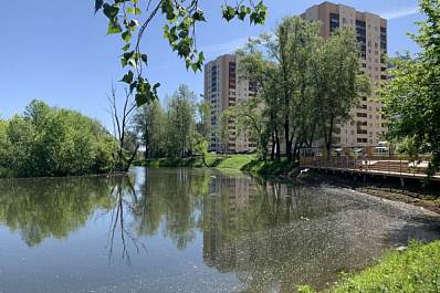 Власти Самары и общественники договорились о расчистке берега системы озер "Дубовый ерик"