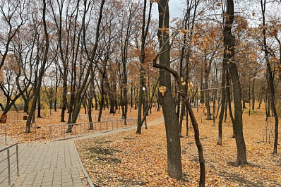 В Самарской области 28 октября будет облачно и прохладно