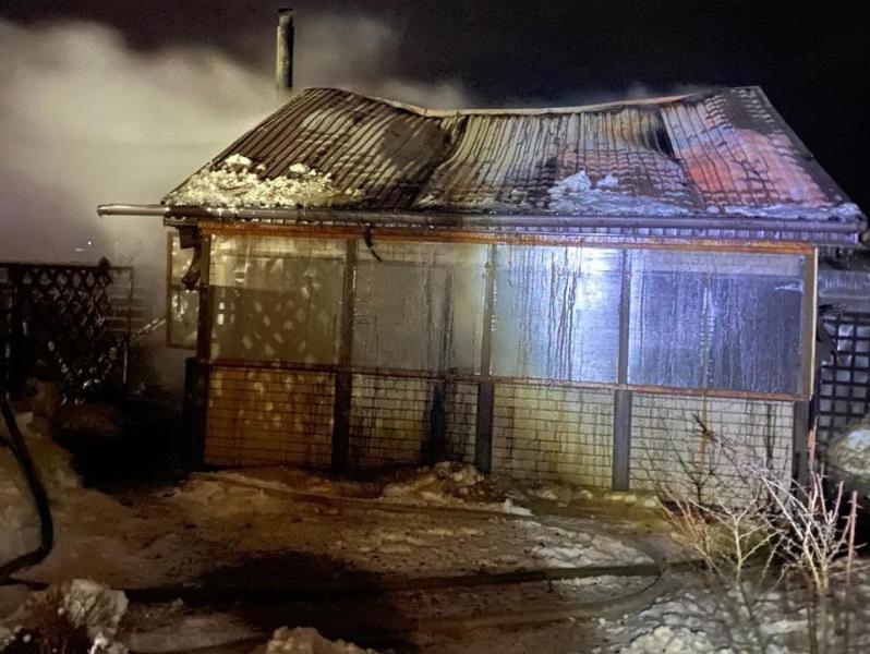 В Самарской области в пожаре погибли домашние животные