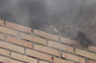 В Новокуйбышевске пожарные спасли кошку из горящей квартиры