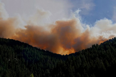 Режим чрезвычайной пожарной опасности лесов в Самарской области продлили до 11 мая