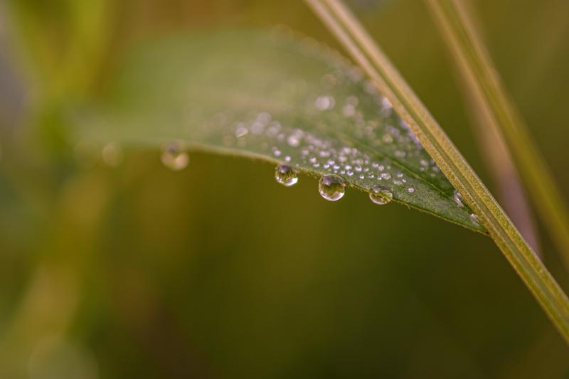 Народные приметы на 25 июля 2025 года: что нельзя делать в этот день