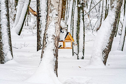 Название статьи