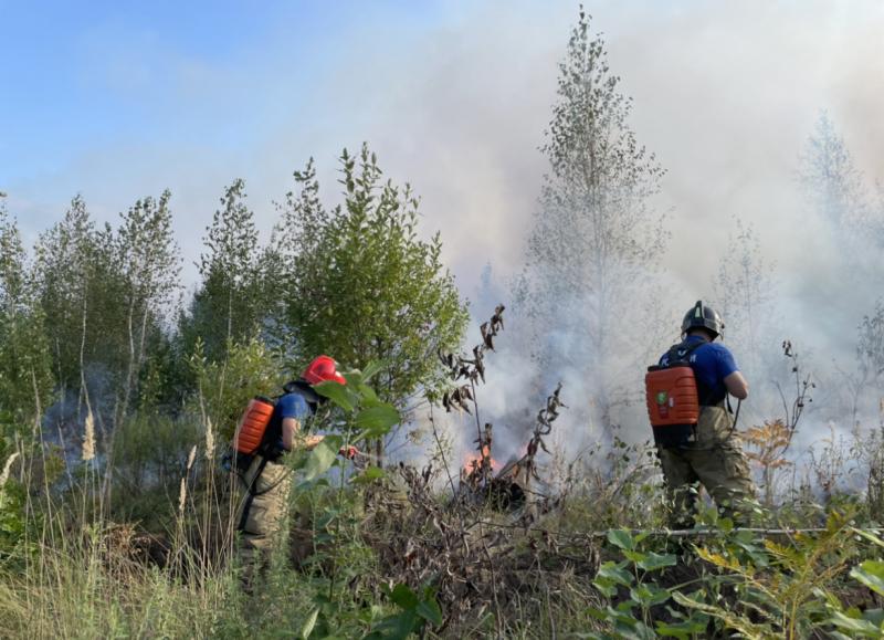 Вспыхнула сухая трава: в Тольятти ночью тушили крупный пожар