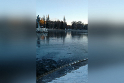 Попали в ледяной плен: самарцы попросили помочь уткам в парках Металлургов и Гагарина