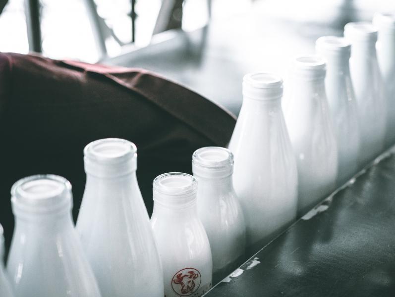 В Самарской области может находиться подпольная молочка от "предприятия-призрака"