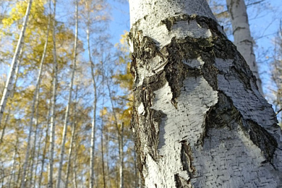 Народные приметы на 11 апреля 2025 года: что нельзя делать в этот день