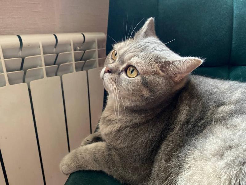 Стало известно, когда должны отключать отопление в квартирах