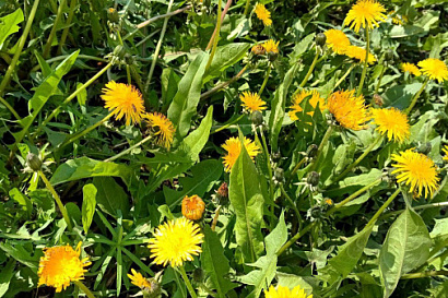 Название статьи