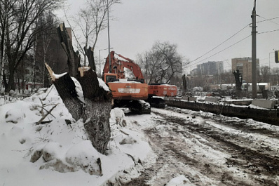 В Самаре после окончания строительства развязки на Ново-Садовой посадят новые деревья