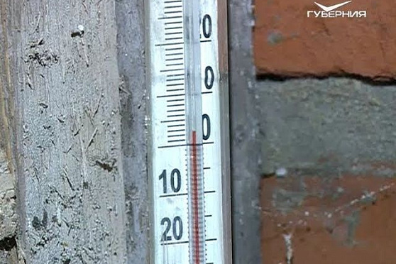 Хранение свежих овощей и комнатные растения. Удачные заметки от 12.12.2017