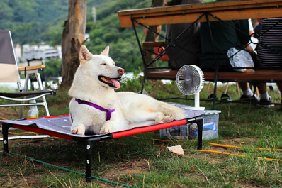 В Поволжье в июле ожидается температура значительно выше нормы