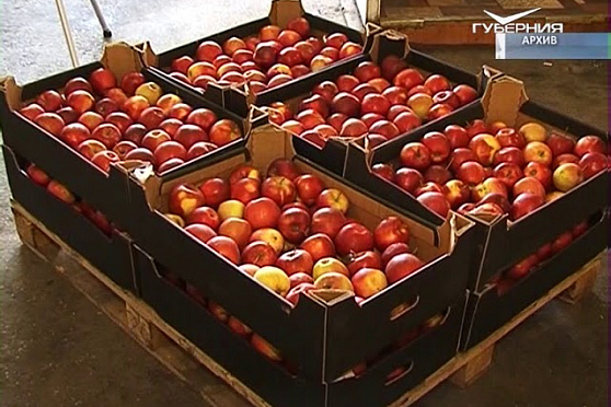 Новости Губернии от 28.03.2018