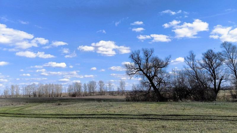 Погода на 17 апреля 2025 года: народные приметы и прогноз синоптиков