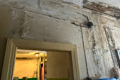 Самарцам рассказали, как избавиться от плесени