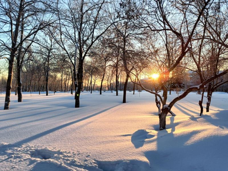 21 февраля в Самарской области ожидается солнечный день