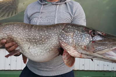 Житель Самары вытащил из реки 10-килограммового монстра