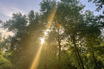 Выше 30 °C: Самарскую область накроет июльский зной