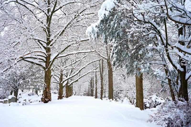 Снег в Самарской области будет идти до конца недели