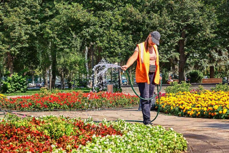 В Самаре газоны и цветники из-за аномальной жары поливают днем и ночью