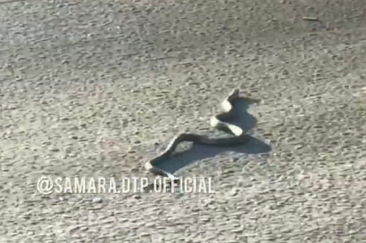 Название статьи