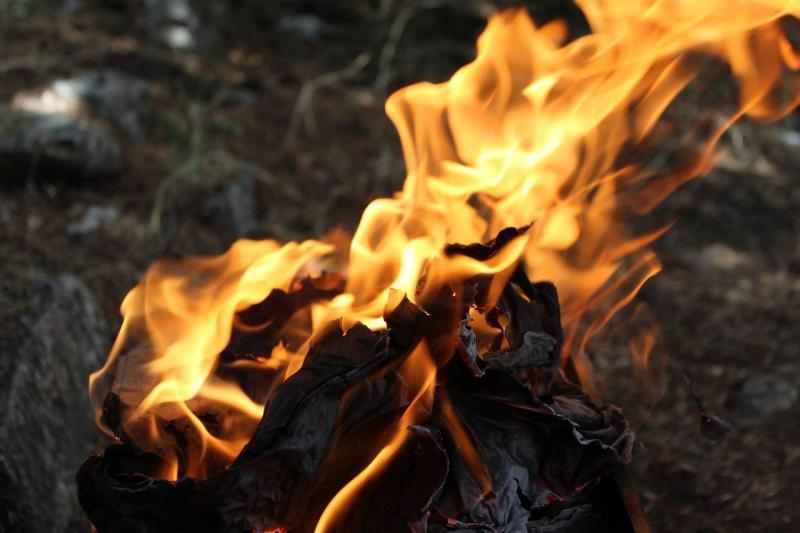 В семи районах Самарской области введен четвертый класс пожарной опасности лесов