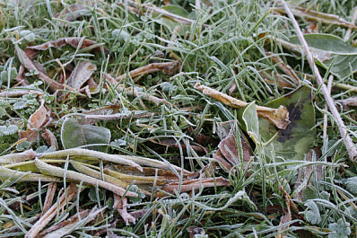 В Самарской области побит рекорд низкой температуры